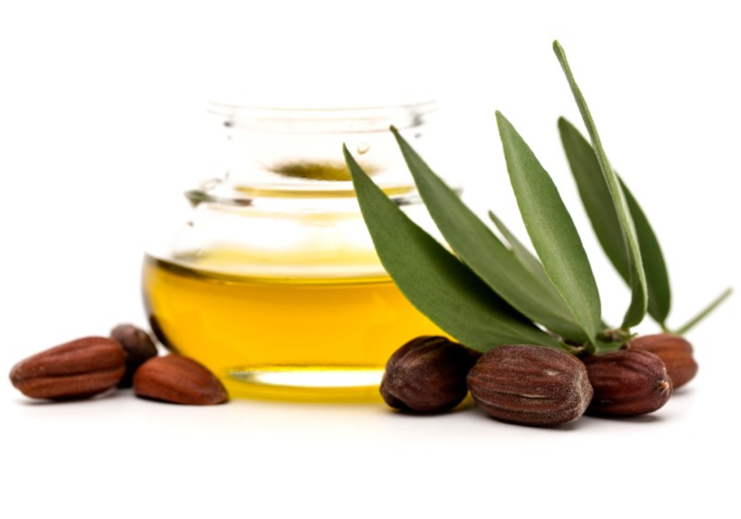 Organic Jojoba Oil Sunscreen Natural